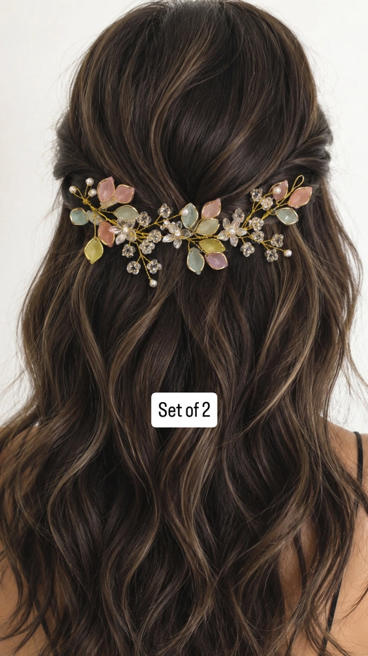 Multi colour hair broach set of 2 pcs